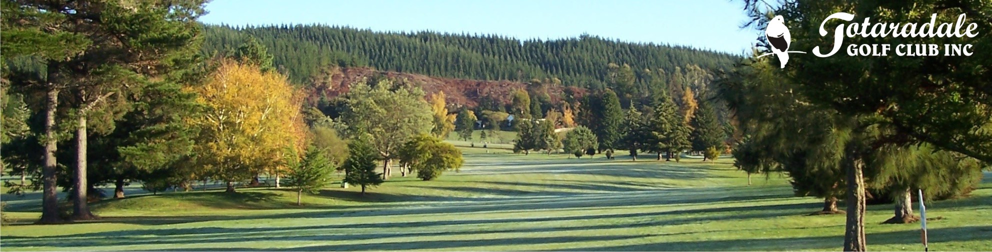 Totaradale #5 Green